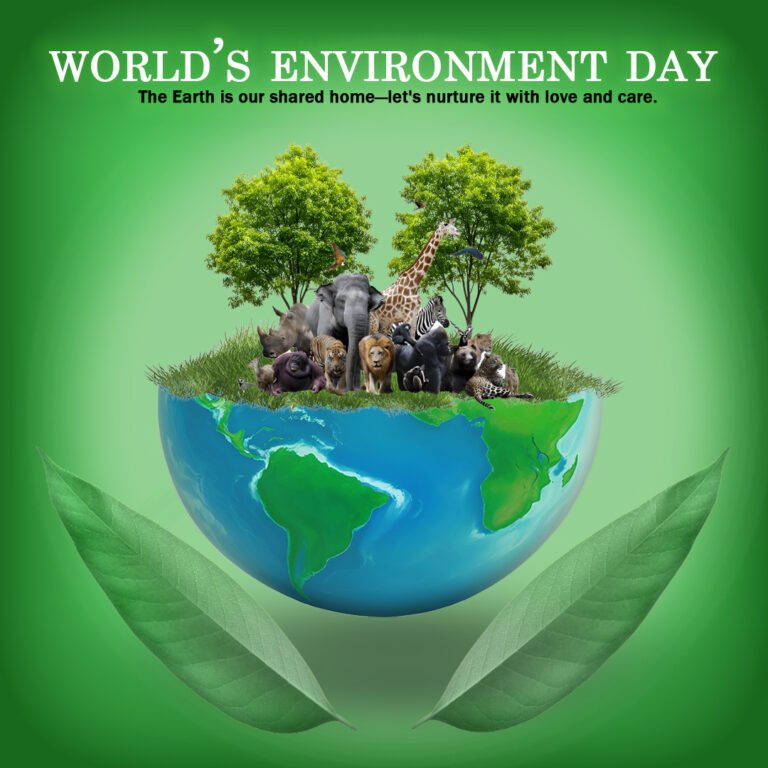 Digital Marketing Agency Company in Gwalior