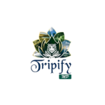 Digital Marketing Agency Company in Gwalior