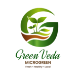 Digital Marketing Agency Company in Gwalior